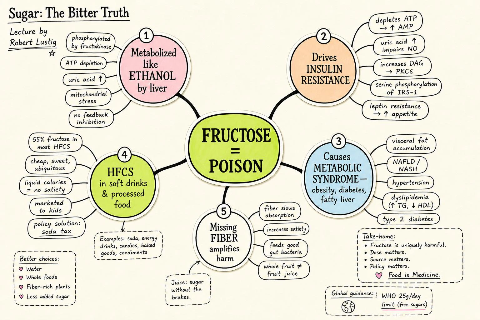 Mind map for Sugar: The Bitter Truth
